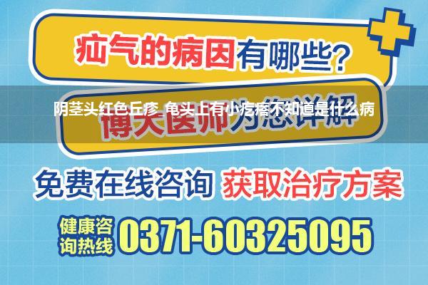 阴茎头红色丘疹_龟头上有小疙瘩不知道是什么病