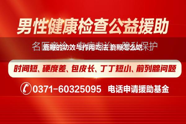 鹿鞭的功效与作用吃法 鹿鞭怎么吃