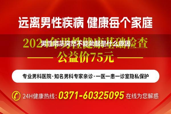 男性阴茎突然不能勃起是什么原因